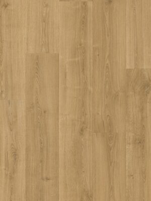 QUICK STEP_CAPTURE_SIG4762