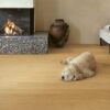 QUICK STEP_CALA_CAL6029